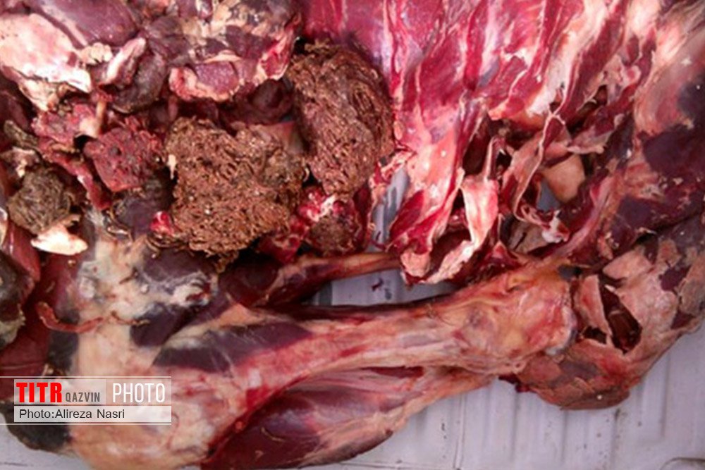 160 کیلوگرم گوشت غیر مجاز در تاکستان  کشف شد