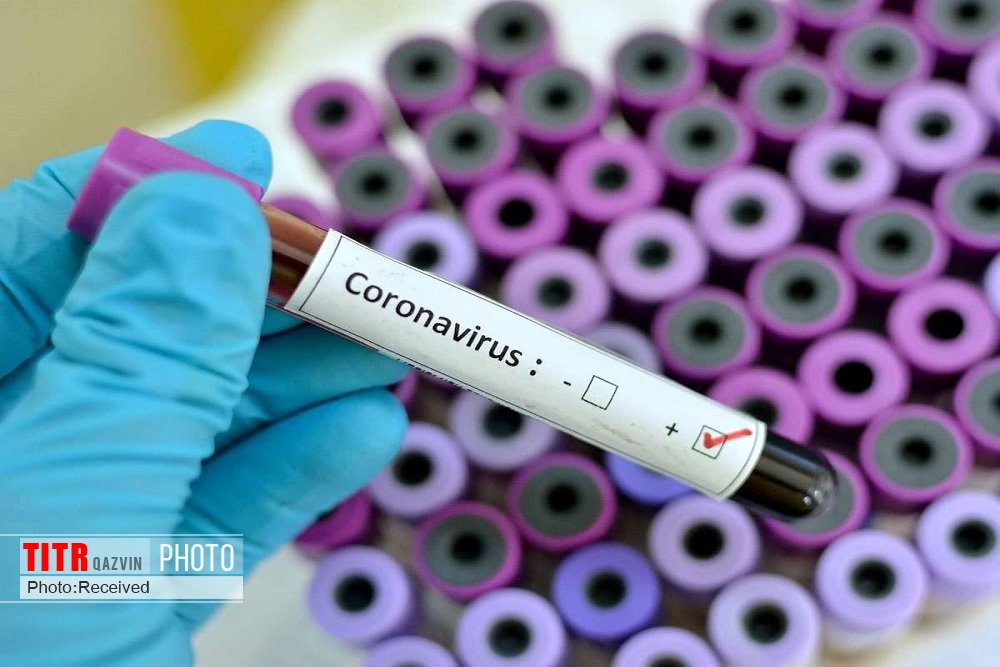افزایش آمار مبتلایان به ویروس کرونا در قزوین | ویروس کرونا