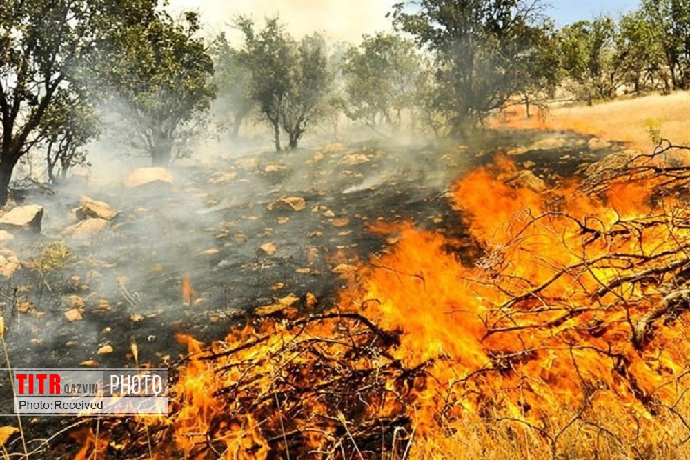 آتش سوزی در مناطق حفاظت شده باشگل تاکستان خاموش شد