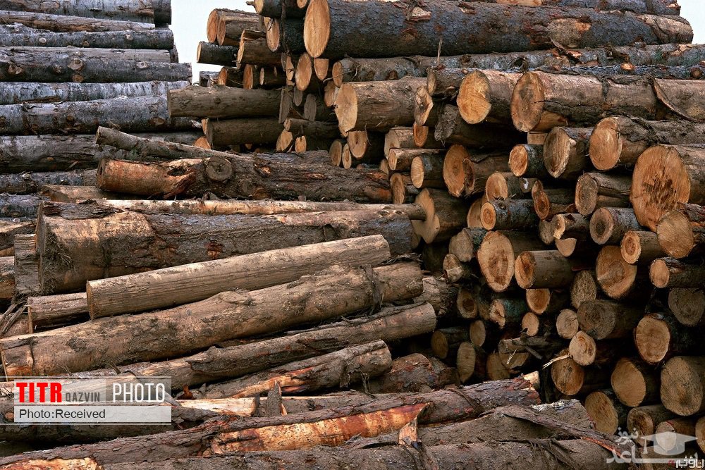 9 تن چوب قاچاق در شهرستان البرز کشف شده است