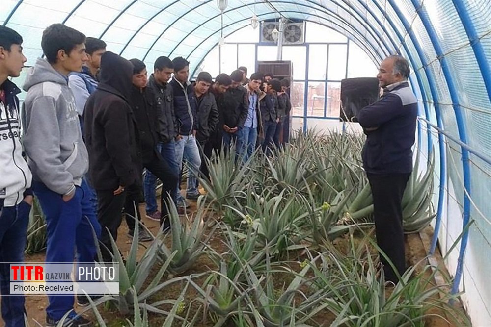 دوره‌های آموزش کشاورزی برای مددجویان بهزیستی البرز برگزار می شود  