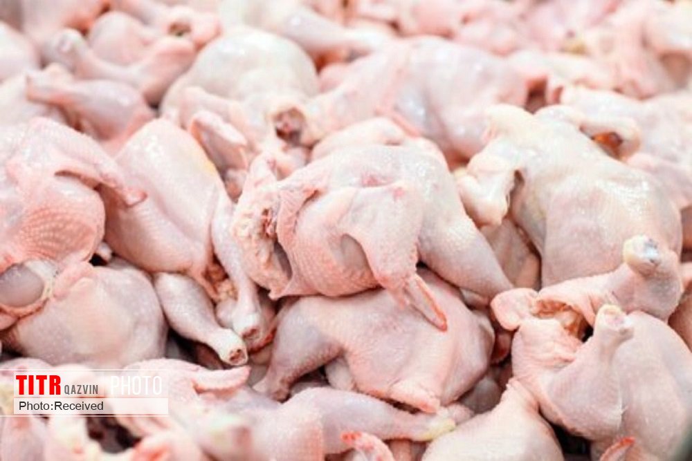 تولید روزانه 200 تن گوشت مرغ در استان قزوین