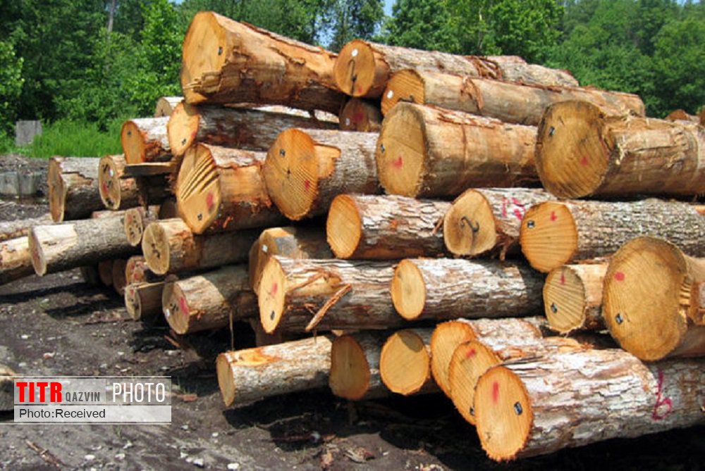2 تن چوب قاچاق در شهرستان آوج کشف شد