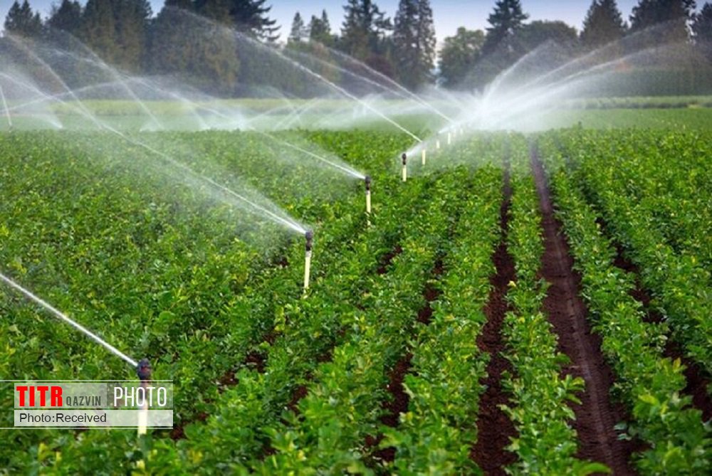 131 طرح سامانه نوین آبیاری برای مزارع قزوین درحال اجرا است