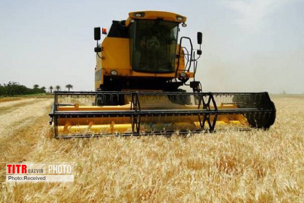 دو هزار و 500 هکتار از مزارع کشاورزی شهرستان البرز زیر کشت جو می‌رود