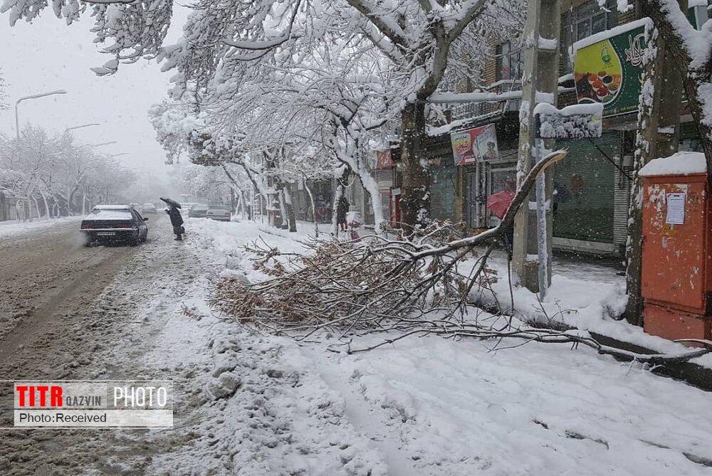 برف، کولاک و هوای سرد استان قزوین را فرامی‌گیرد