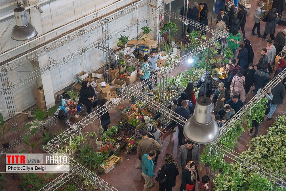 فعالیت نمایشگاه تخصصی گل و گیاه در قزوین