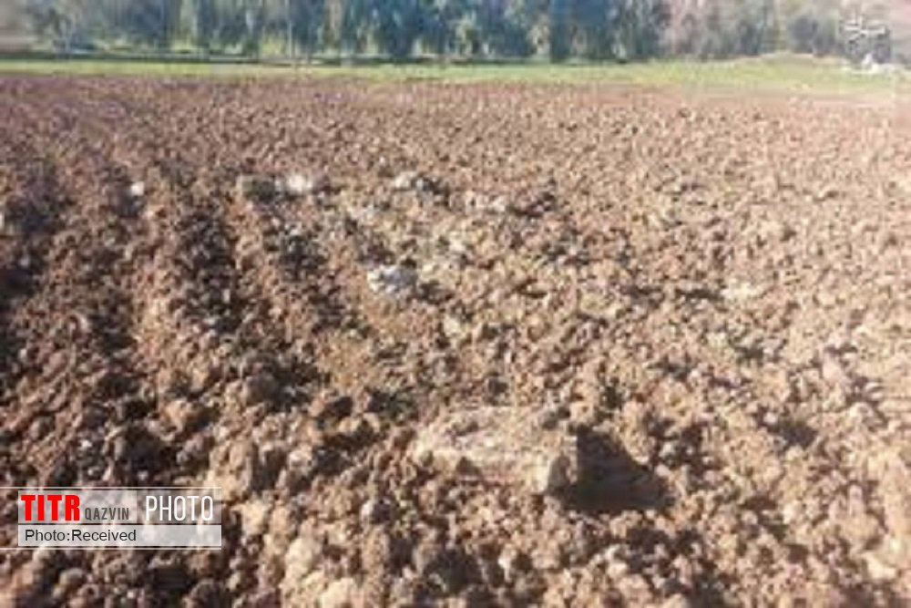 شور بودن 100 هزار هکتار از خاک کشاورزی قزوین